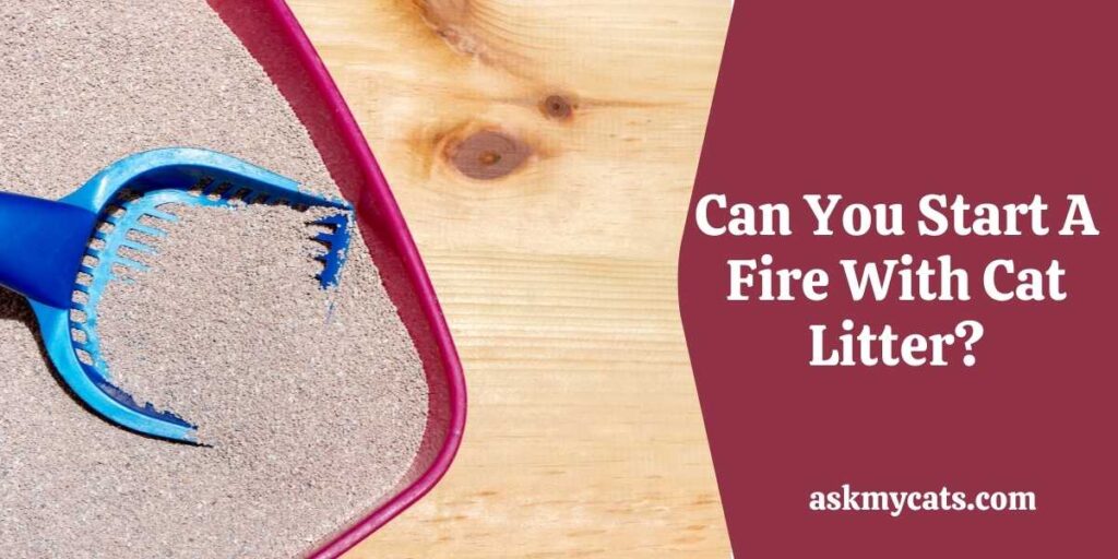 Can You Start A Fire With Cat Litter?