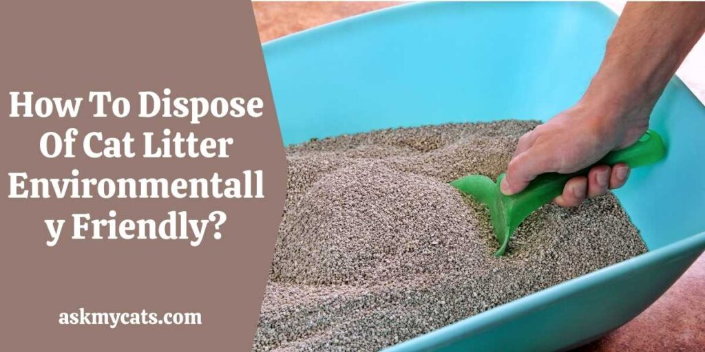 How To Dispose Of Cat Litter Environmentally Friendly?