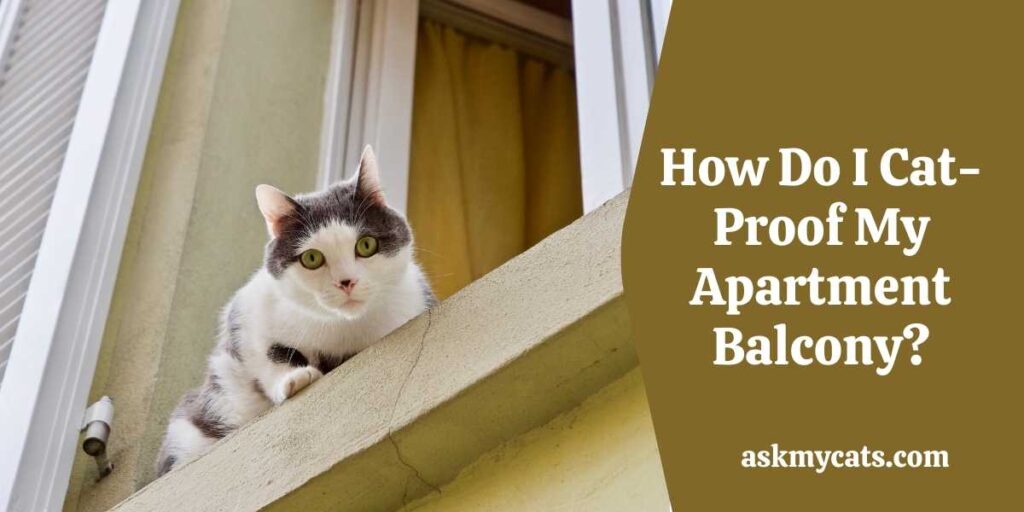 How Do I Cat-Proof My Apartment Balcony?
