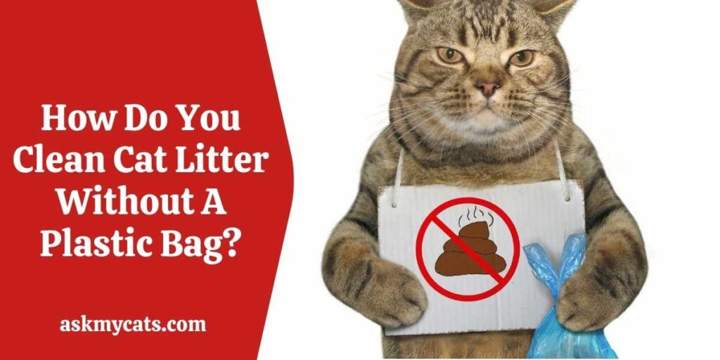 How Do You Clean Cat Litter Without A Plastic Bag?