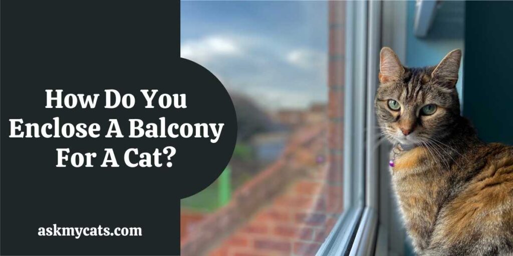 How Do You Enclose A Balcony For A Cat?