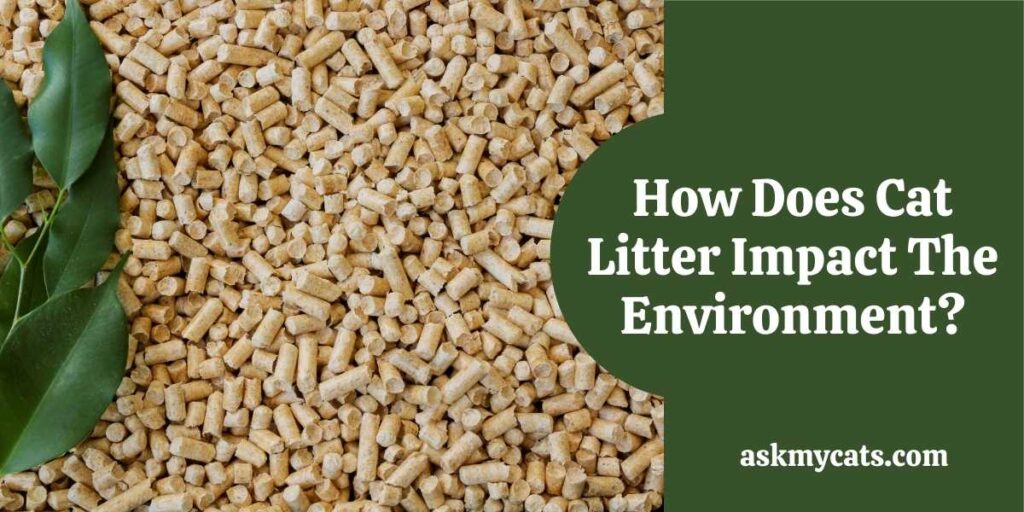 How Does Cat Litter Impact The Environment?