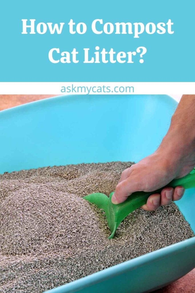 How to Compost Cat Litter?