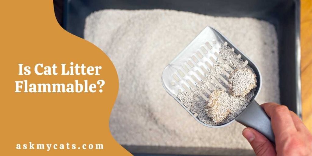 Is Cat Litter Flammable?