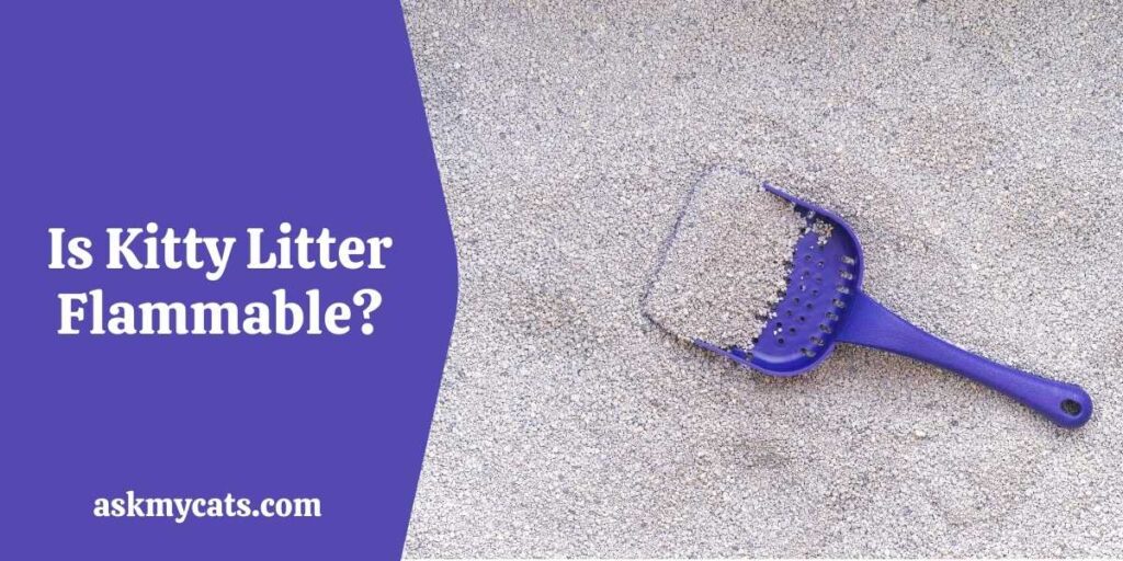 Is Kitty Litter Flammable?