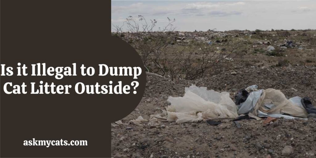 Is it Illegal to Dump Cat Litter Outside?