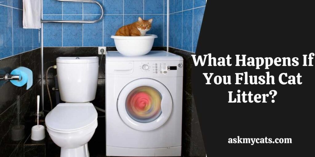 Is it safe to flush outlet kitty litter down the toilet