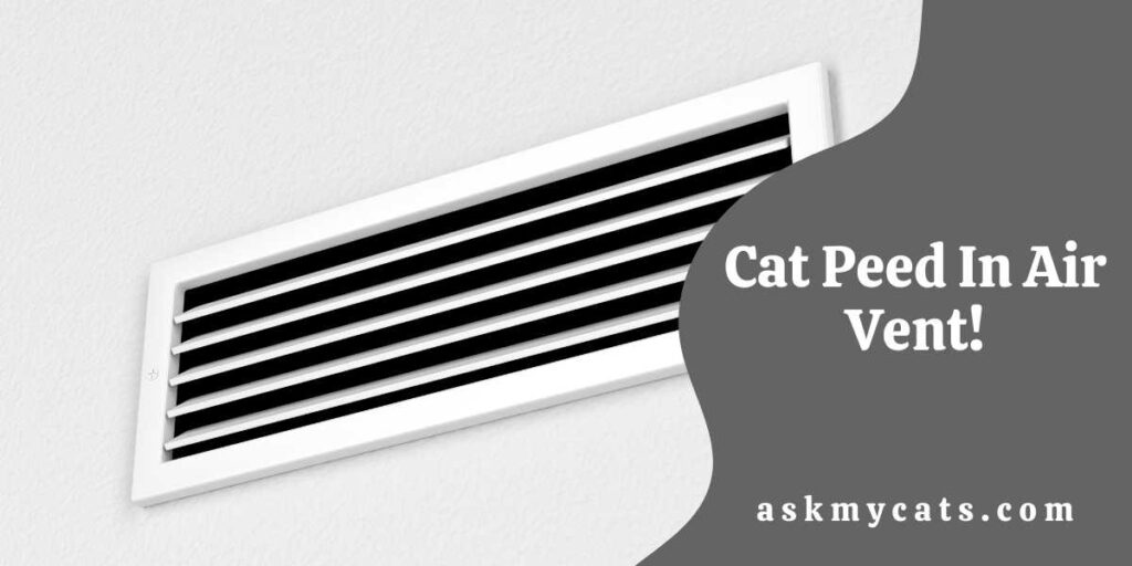 Cat Peed In Air Vent!