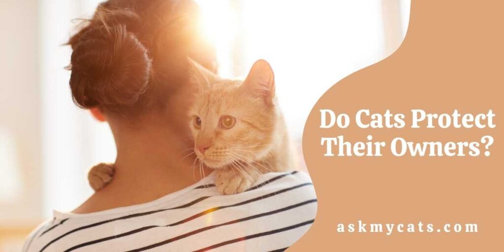 Do Cats Protect Their Owners?