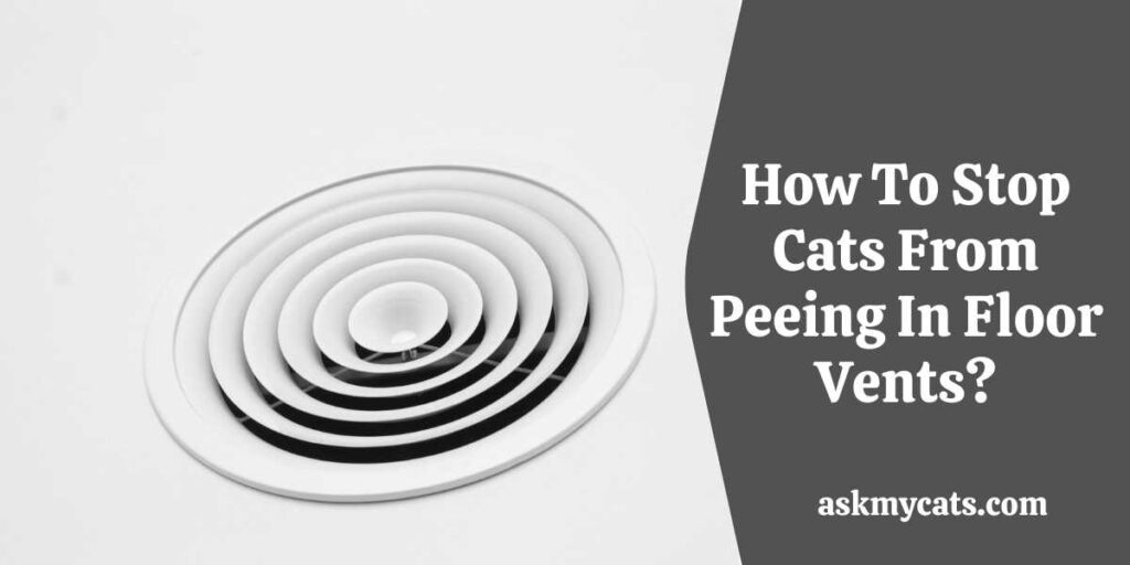 How To Stop Cats From Peeing In Floor Vents?