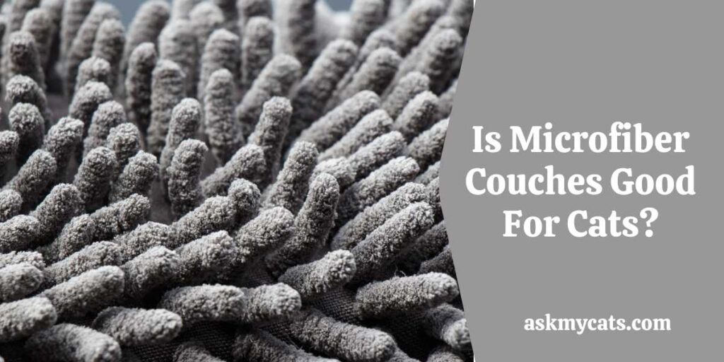 Is Microfiber Couches Good For Cats?