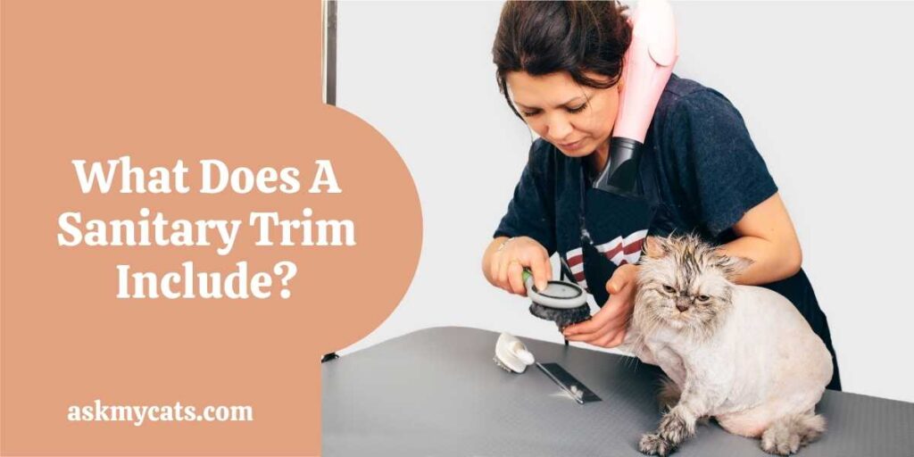 What Does A Sanitary Trim Include?