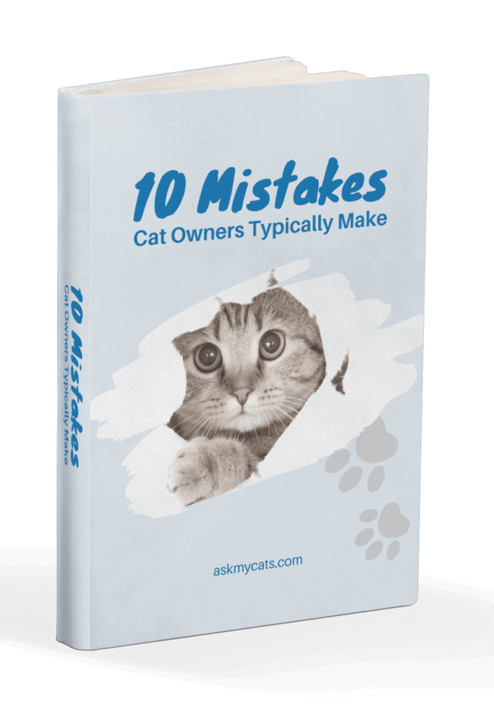 10 Mistakes Cat Owners Typically Make