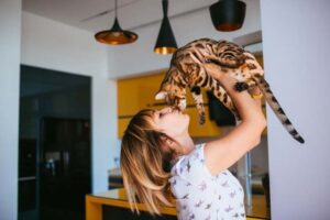 Emotional Support Cats: Benefits & How To Register