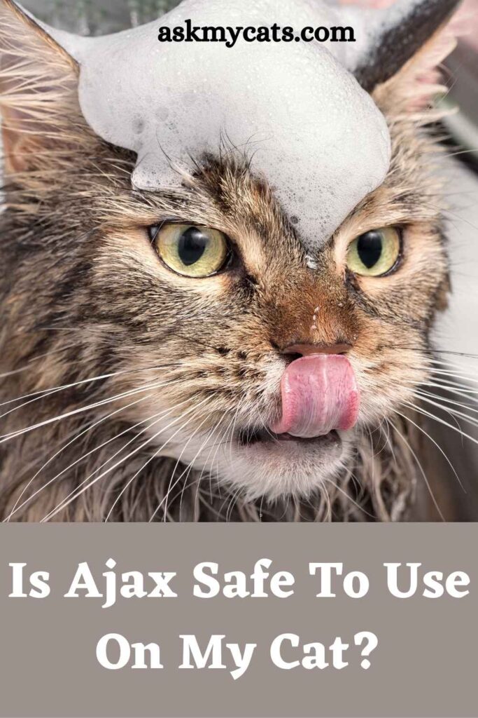 Is Ajax Safe To Use On My Cat?