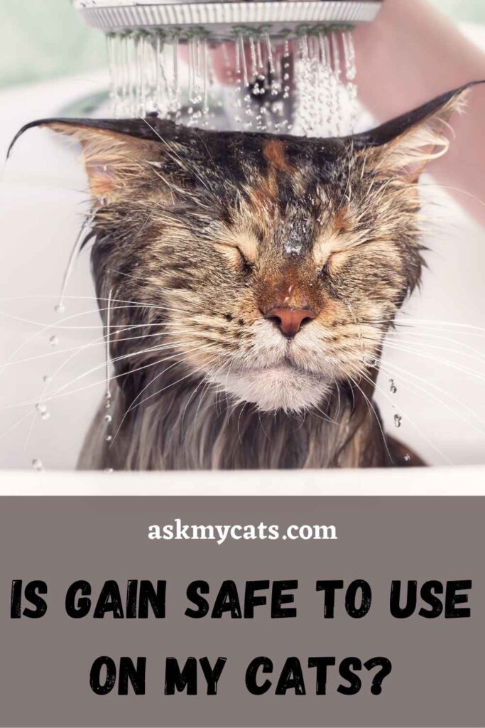 Is Gain Safe To Use On My Cats?