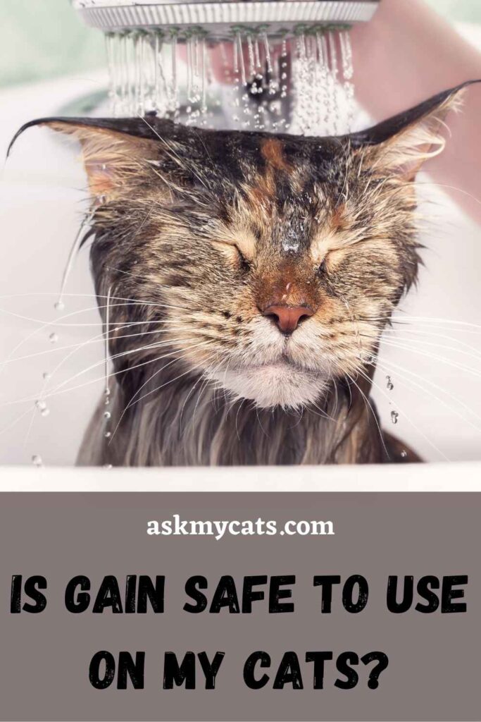 Is Dish Soap Safe For Cats?