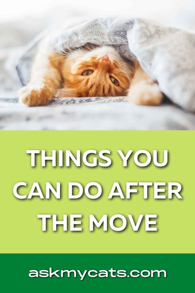 Things You Can Do After the Move