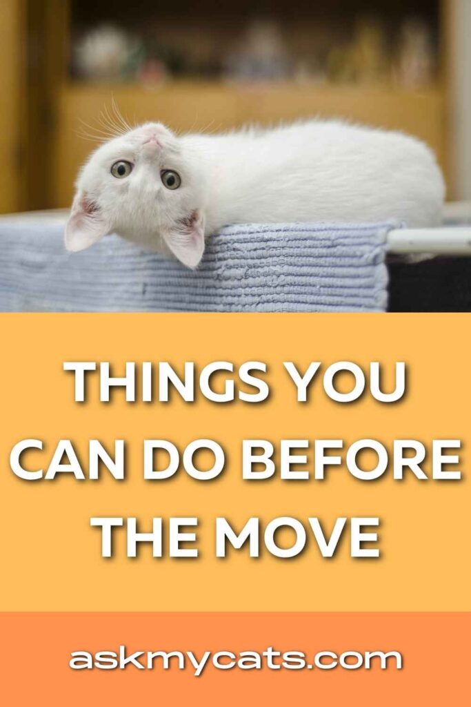 Things You Can Do Before the Move