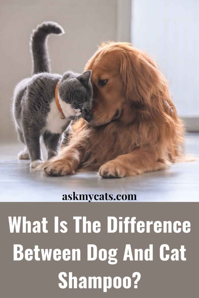 what is the difference between cat and dog shampoo