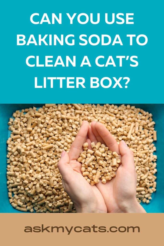 Can You Use Baking Soda To Clean A Cat’s Litter Box