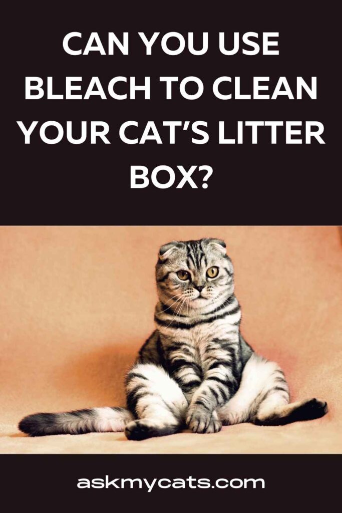 Can You Use Bleach To Clean Your Cat’s Litter Box