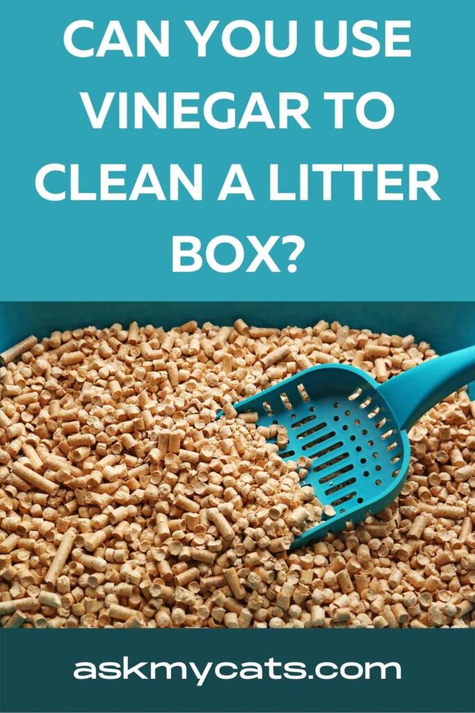 Can You Use Vinegar To Clean A Litter Box