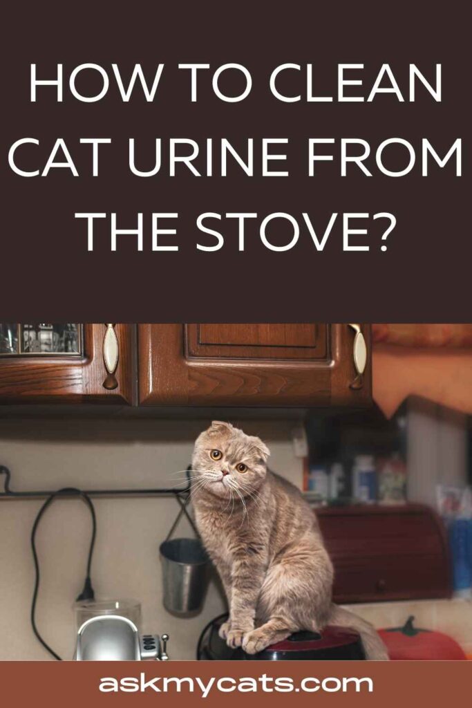 How To Clean Cat Urine From The Stove