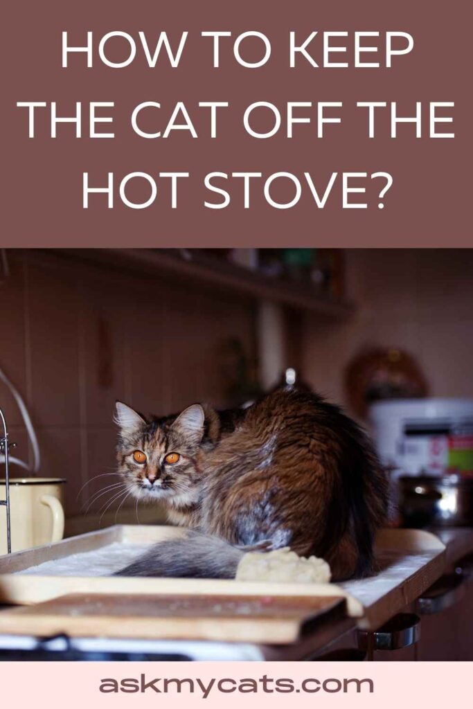 How To Keep The Cat Off The Hot Stove