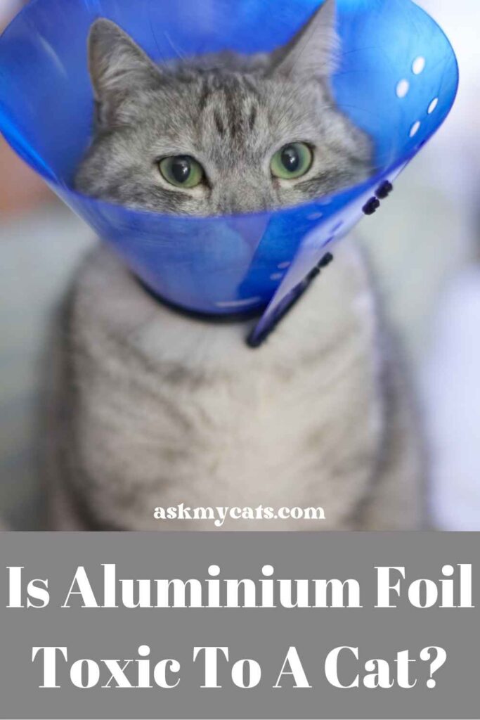 Is Aluminium Foil Toxic To A Cat?