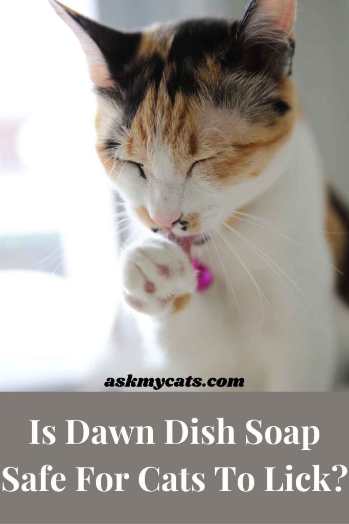 Is Dawn Dish Soap Safe For Cats To Lick?