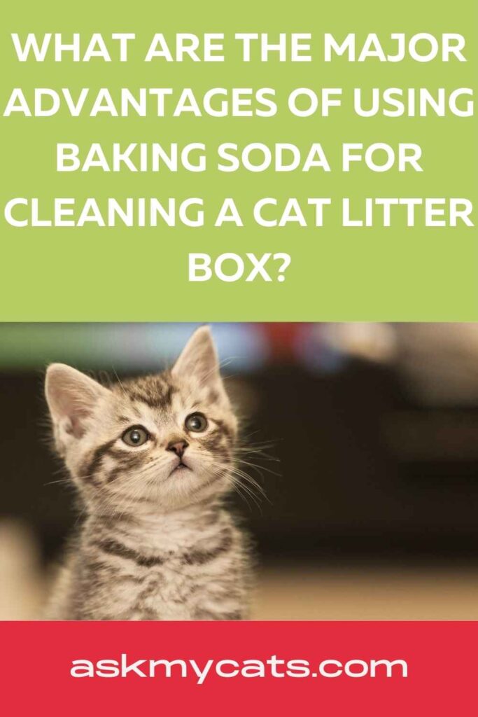 What Are The Major Advantages Of Using Baking Soda For Cleaning A Cat Litter Box