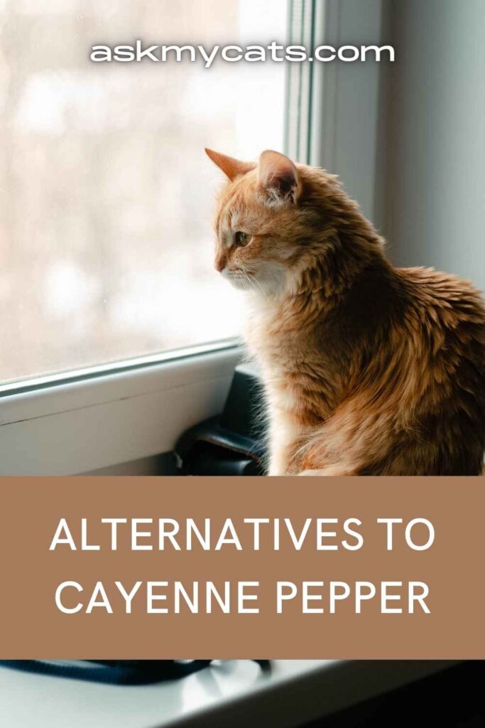 Alternatives To Cayenne Pepper