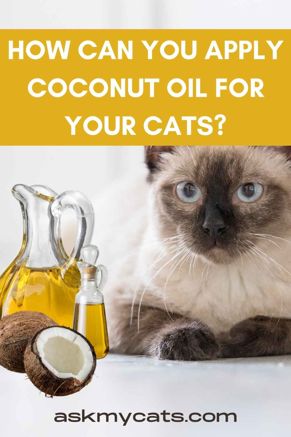 Can Cats Have Coconut Oil? How To Use Coconut Oil For Cats?