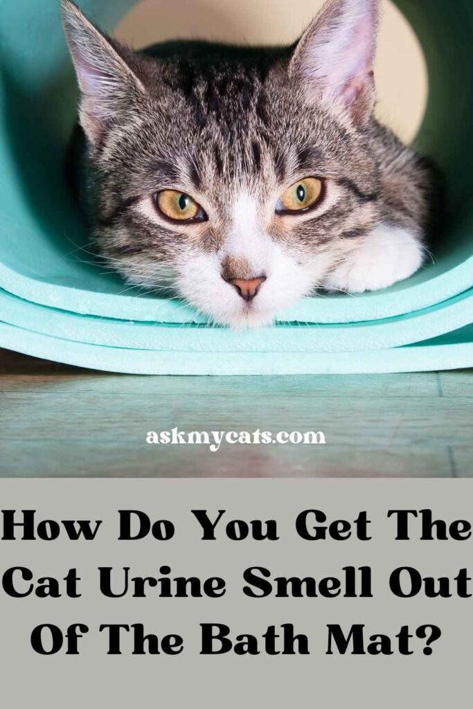 How Do You Get The Cat Urine Smell Out Of The Bath Mat?