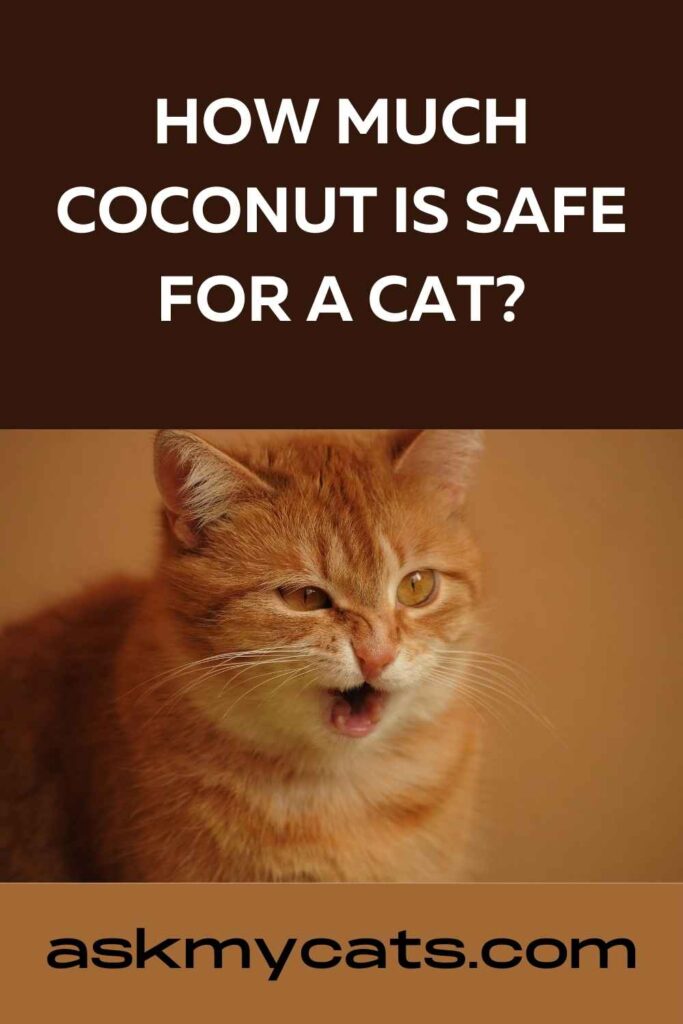 How Much Coconut Is Safe For A Cat