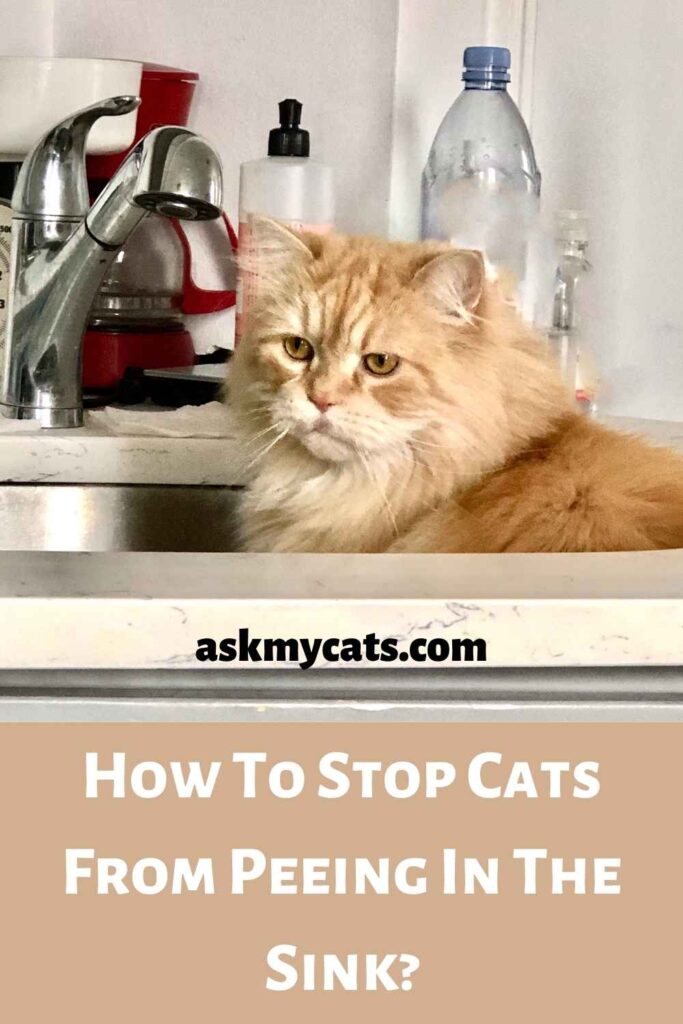 How To Stop Cats From Peeing In The Sink?