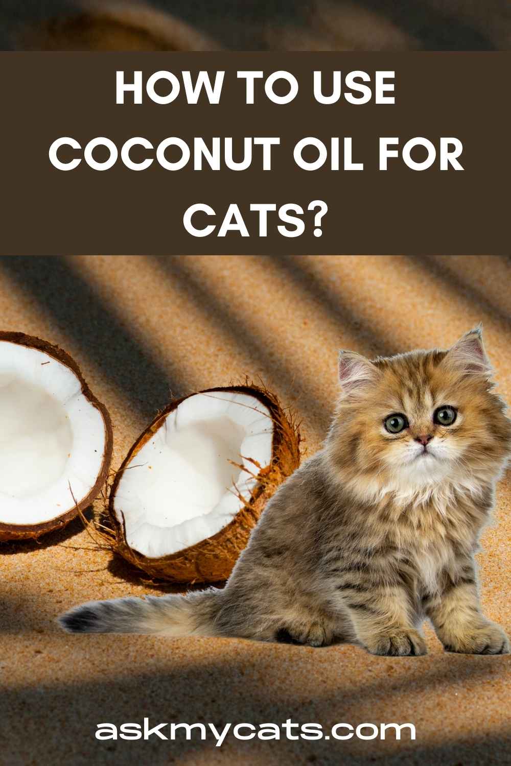 Can Cats Have Coconut Oil? How To Use Coconut Oil For Cats?