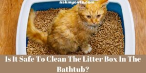Is It Safe To Clean The Litter Box In The Bathtub?