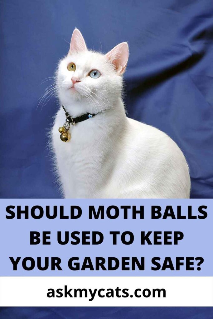 Should Moth Balls Be Used To Keep Your Garden Safe