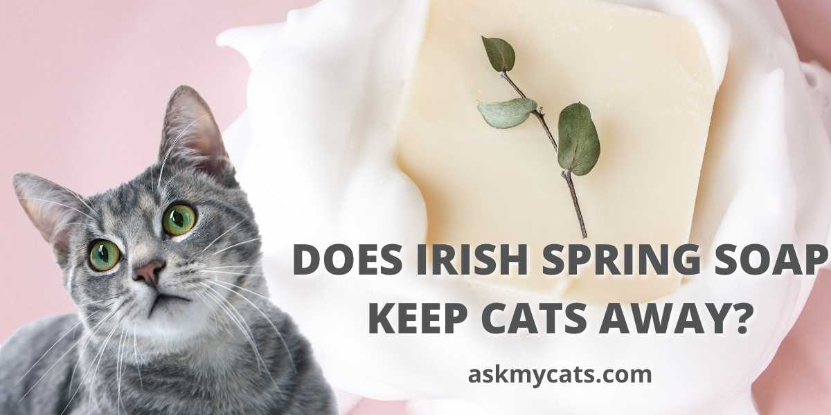 Does Irish Spring Soap Keep Cats Away?