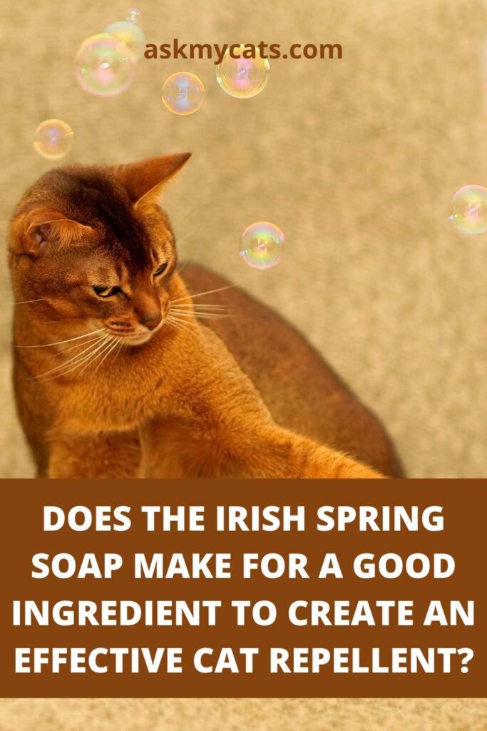 Does The Irish Spring Soap Make For A Good Ingredient To Create An Effective Cat Repellent