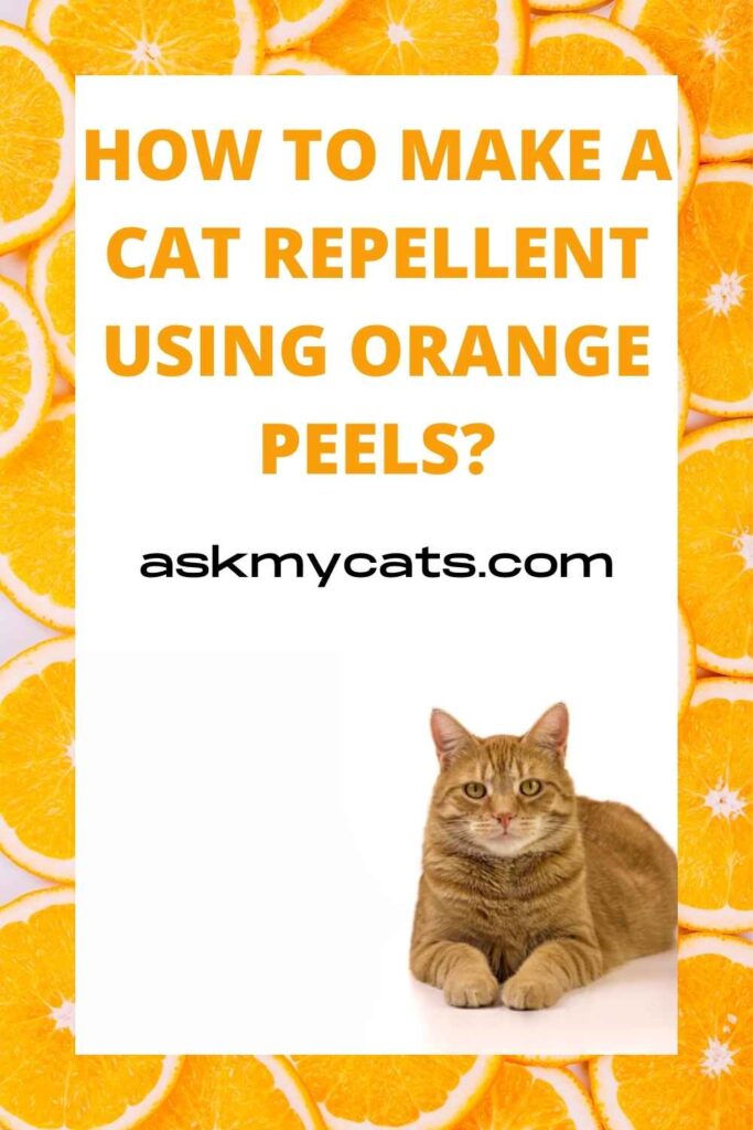 Orange oil to outlet repel cats