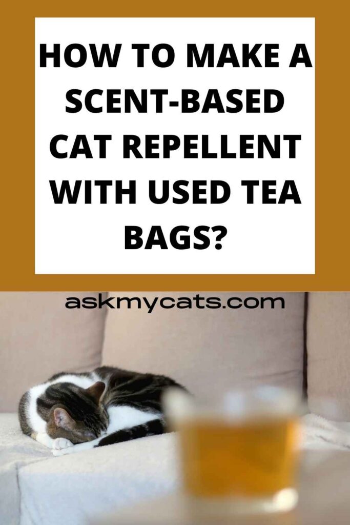 How To Make A Scent-Based Cat Repellent With Used Tea Bags