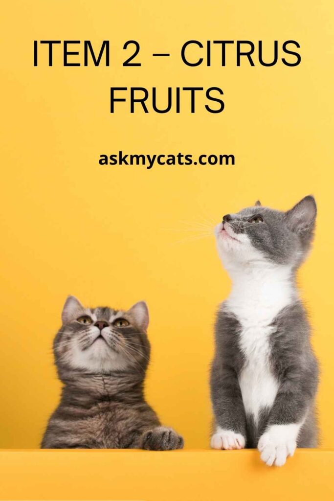 Item 2 – Citrus Fruits