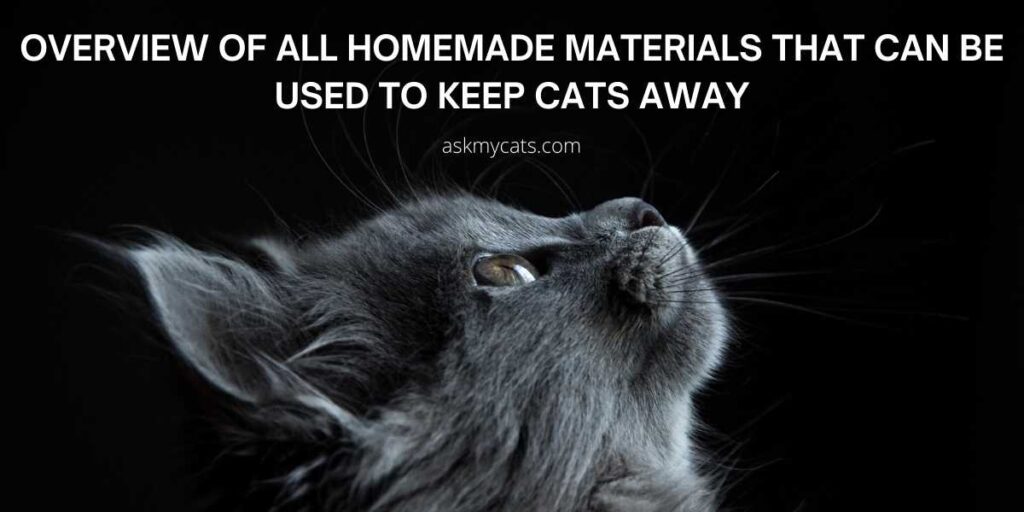 Overview Of All Homemade Materials That Can Be Used To Keep Cats Away