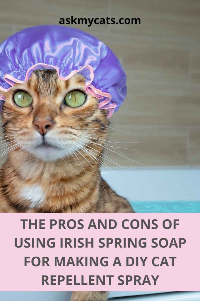 The Pros And Cons Of Using Irish Spring Soap For Making A DIY Cat Repellent Spray