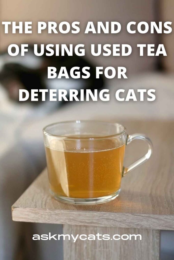 The Pros And Cons Of Using Used Tea Bags For Deterring Cats