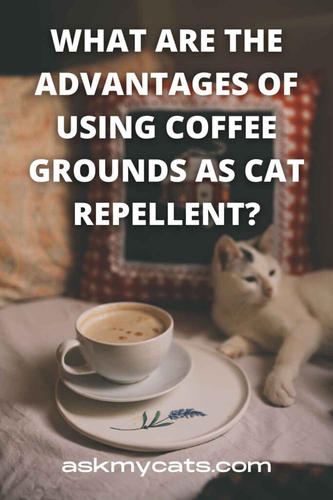What Are The Advantages Of Using Coffee Grounds As Cat Repellent