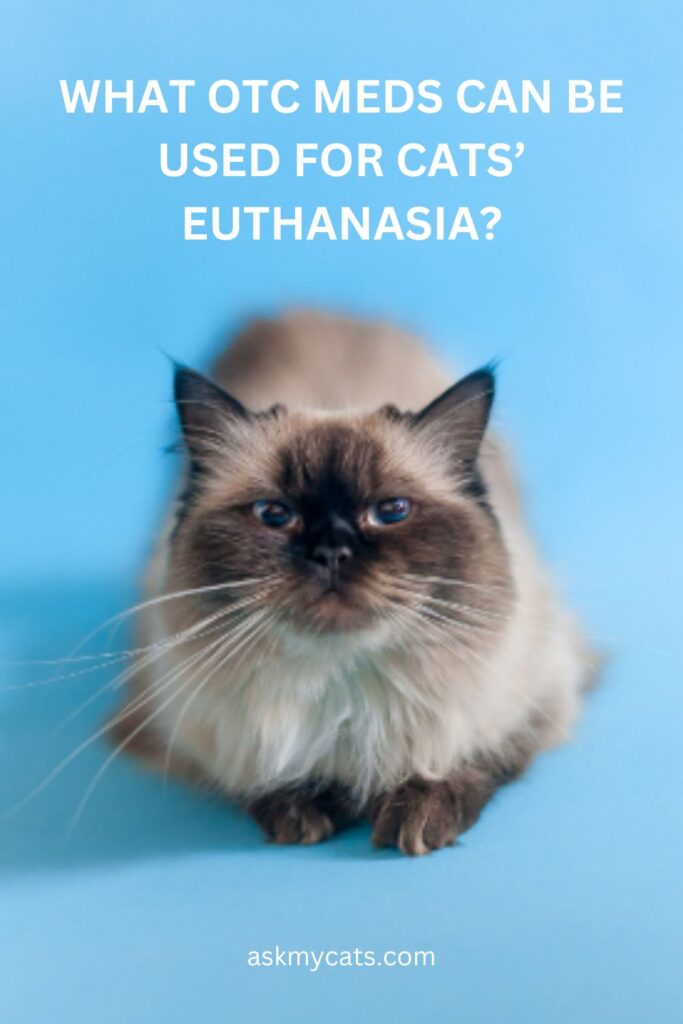 What OTC Meds Can Be Used For Cats’ Euthanasia